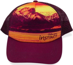 Instinct - Horizon Trucker cap