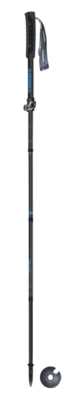Masters - Trecime Carbon